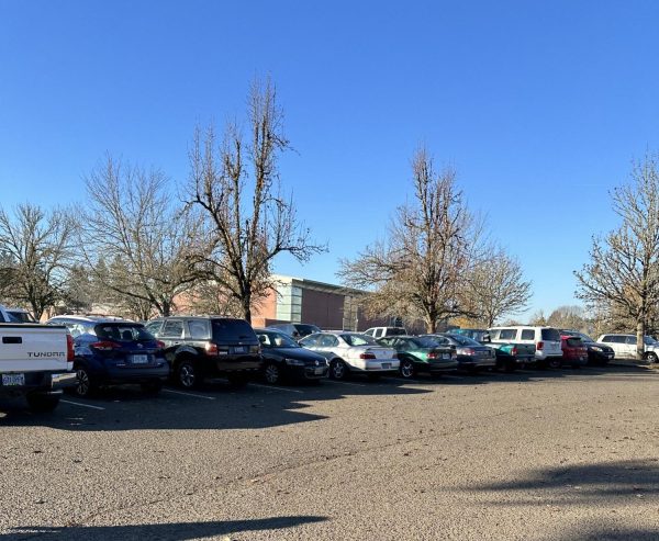 Students responsibly parking in one of the lots at WHS. These parkers do not share the same issues that others in the school have.