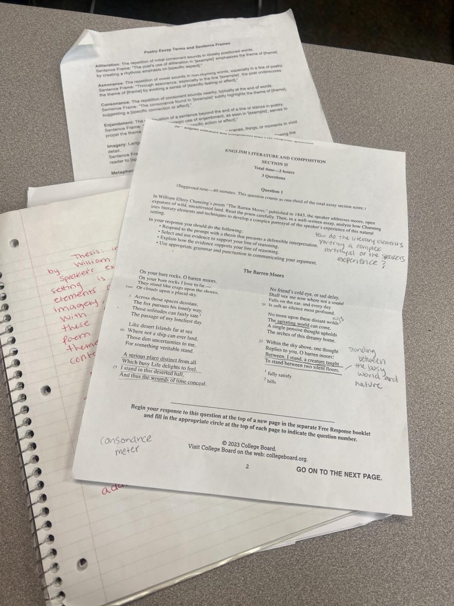 A student works on their poetry worksheets from AP Lit. Later, the class reviewed and further analyzed work by infamous poets. 