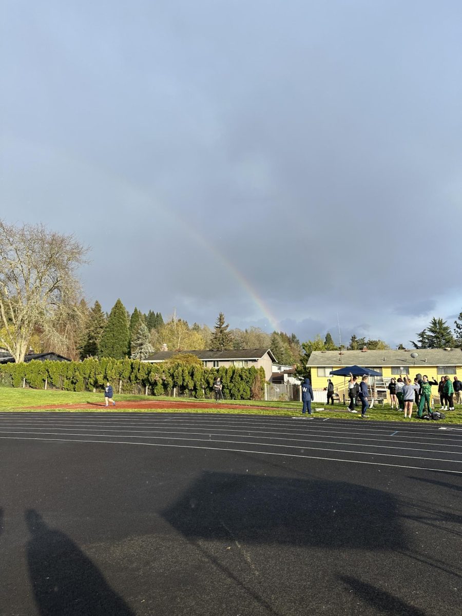 A rainbow after the storm. There was an abundance of rain, just for the sun to come out 10 minutes later.