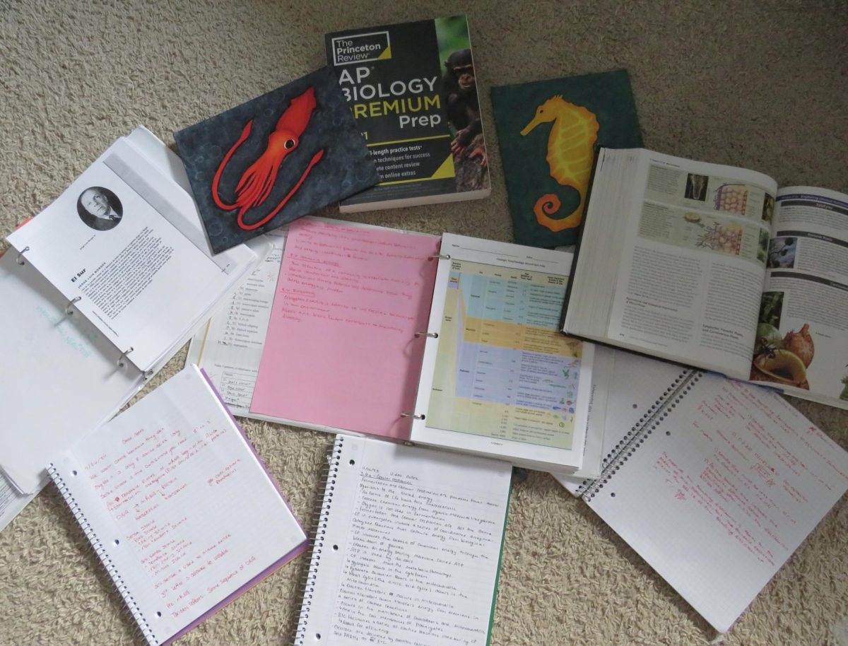 All of the paperwork and items needed for studying. Staying organized can help reduce stress.