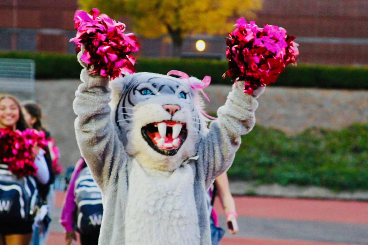 Beloved Willie the Wildcat accompanying the cheerleaders on the sidelines at a football game. The mascot helps provide energy to our student section.