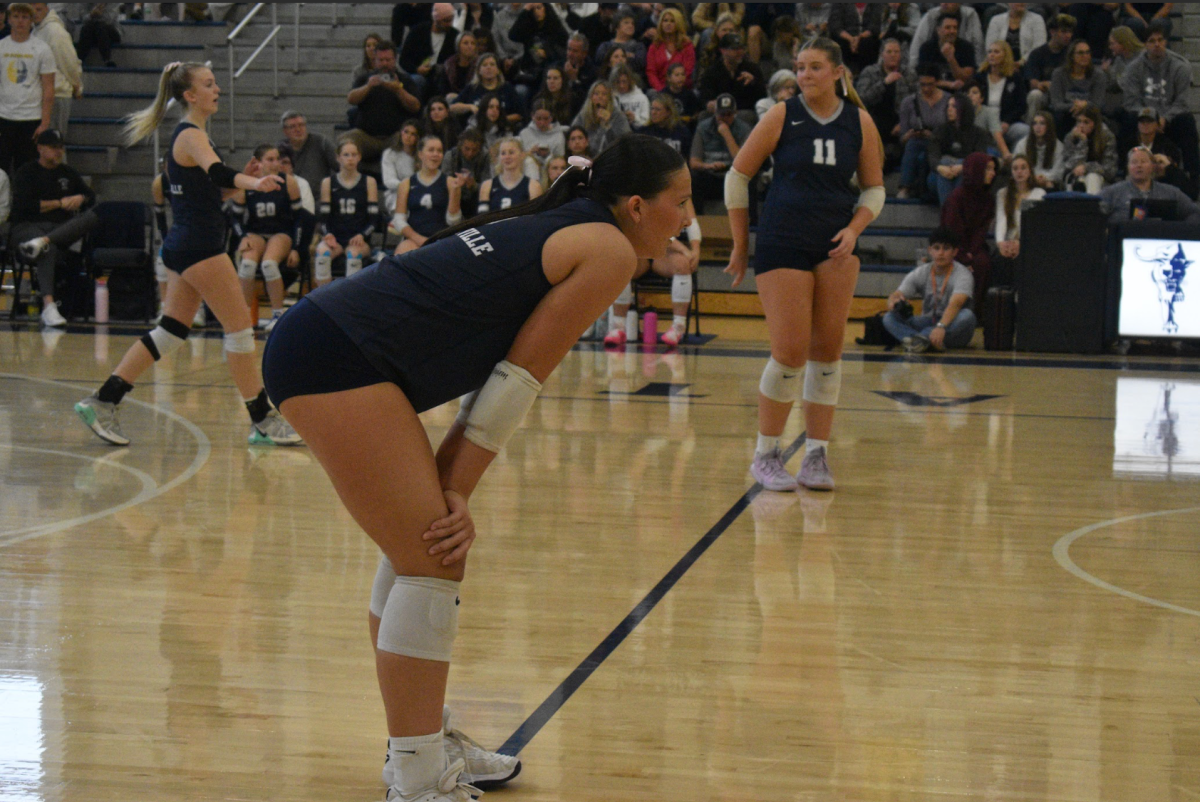 Senior Lana Gillas preparing herself during serve receive against Silverton in the first round of playoffs. Gillas has played a huge role for the volleyball team this year bringing her skills and competitive spirit. She has adapted to the leadership role that comes with being a senior, and enjoys playing volleyball with her best friends. 