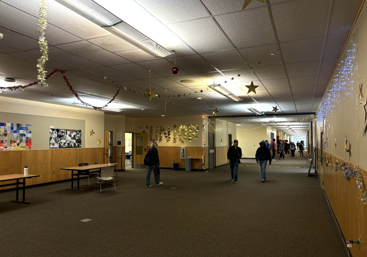 Taking a dive into the junior's Twinkle Terrace, we note the obvious trend of gold, as well as stars. The Juniors took a  much longer time to finish filling their hallway with decorum, adding a last surprise on Thursday by spelling out 'JUNIOR' with all gold starts!