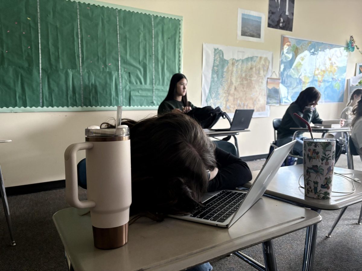 Photo of WHS student asleep while doing assignment, work and homework has her so slumped she dozed off in class. If you want to see what sleepiness looks like at WHS, check out the instagram page wvhs_slumpy.