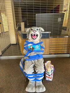 Willie the Wildcat tied up for an election campaign picture for then ASB Vice President Hector Baltazar in 2023. It’s fun to campaign for positions, but it is also incredibly important that students know what these roles do at school. When you run for a position, there are various things you are expected to accomplish, beyond just entertaining campaign strategies.