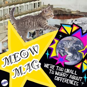 The Meow Mag is Wilsonville High School's literary and arts magazine.  This year's digital edition is available now.