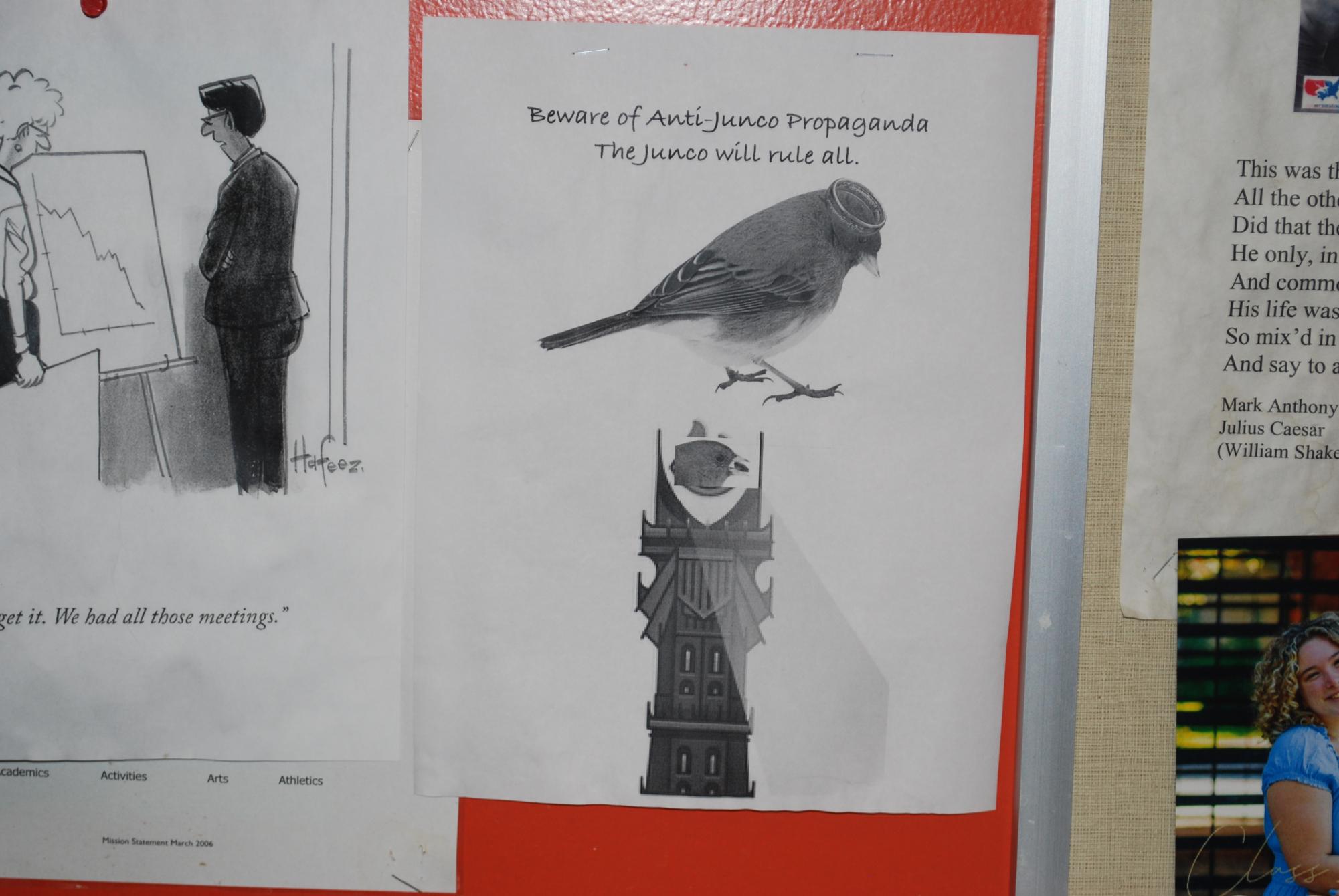 Junco poster in Mr. Milham's room