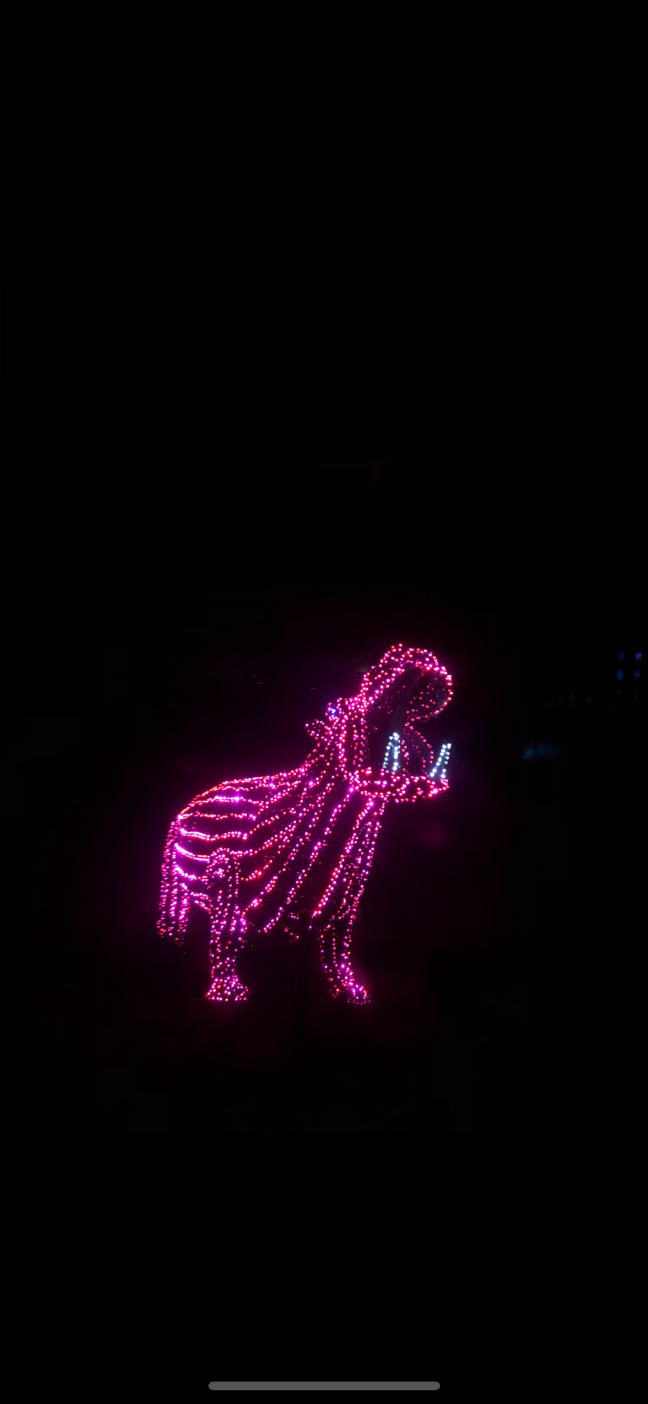 Hippo at Oregon Zoo Lights