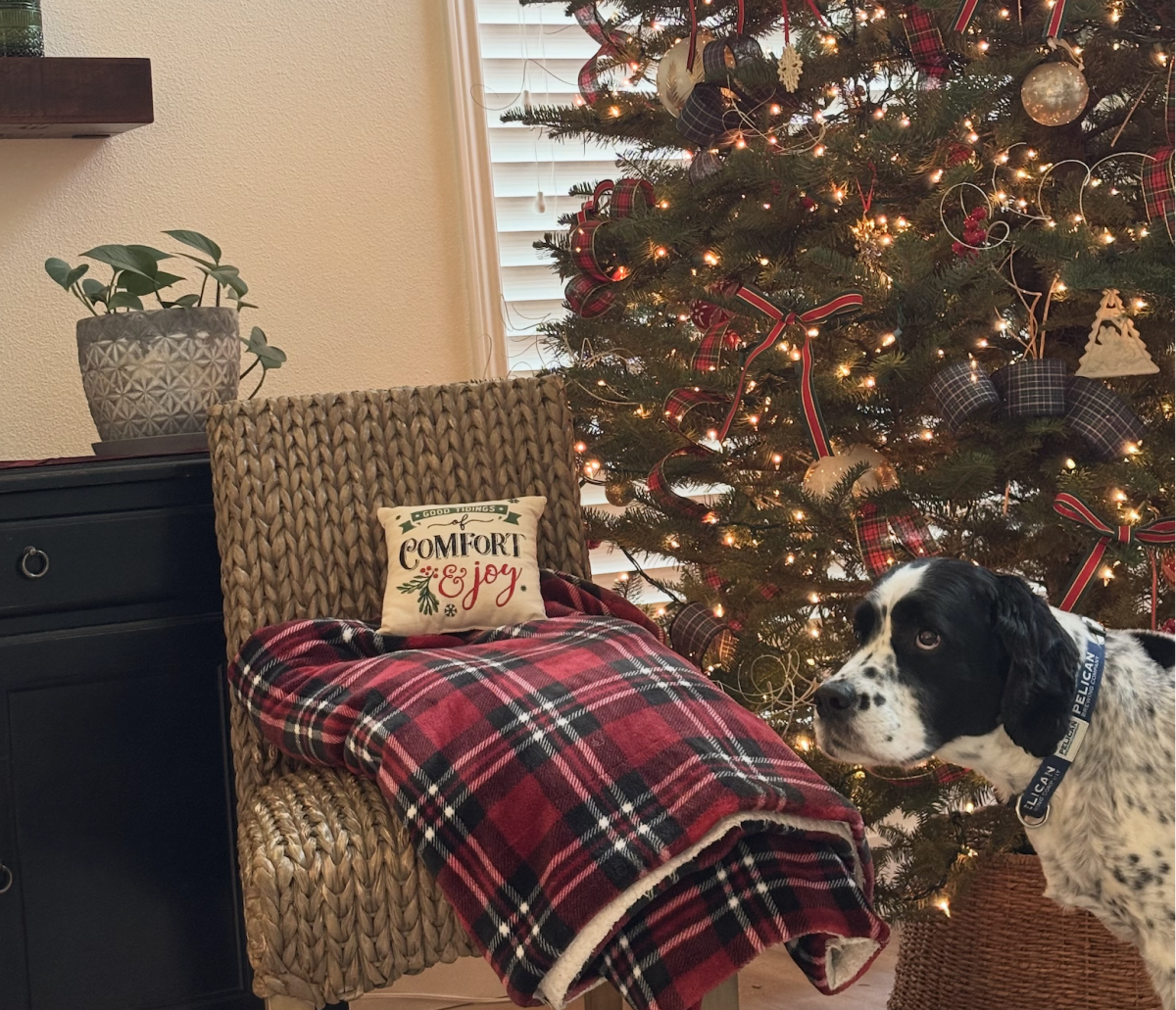 This is a lovely example set-up of a place to spend your holiday break resting! Snuggle up in a cozy blanket with some dim lighting and chill!