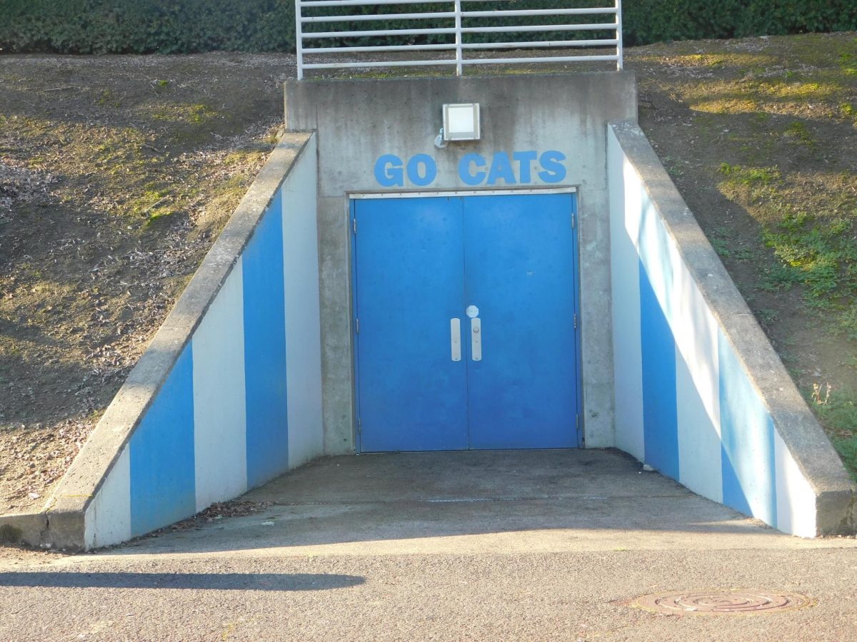 .The Wilsonville tunnel, A friday night classic in the fall looks a lot intense with 50 football players running out ready to compete and leave it on the field than a normal school day.

