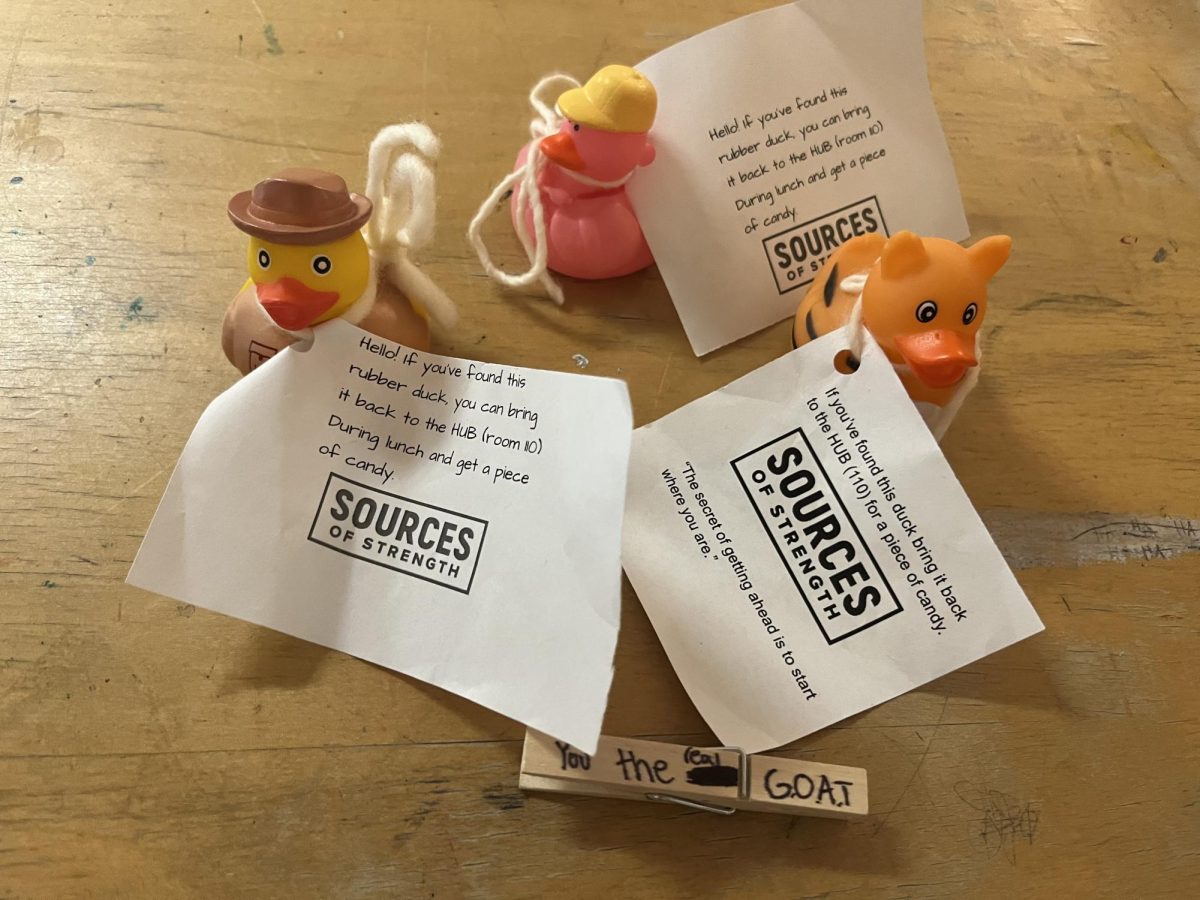 An image of a sources of strength done earlier in the year. If a hidden duck is found, bring it back to Ms. Gaede and enjoy a sweet treat!