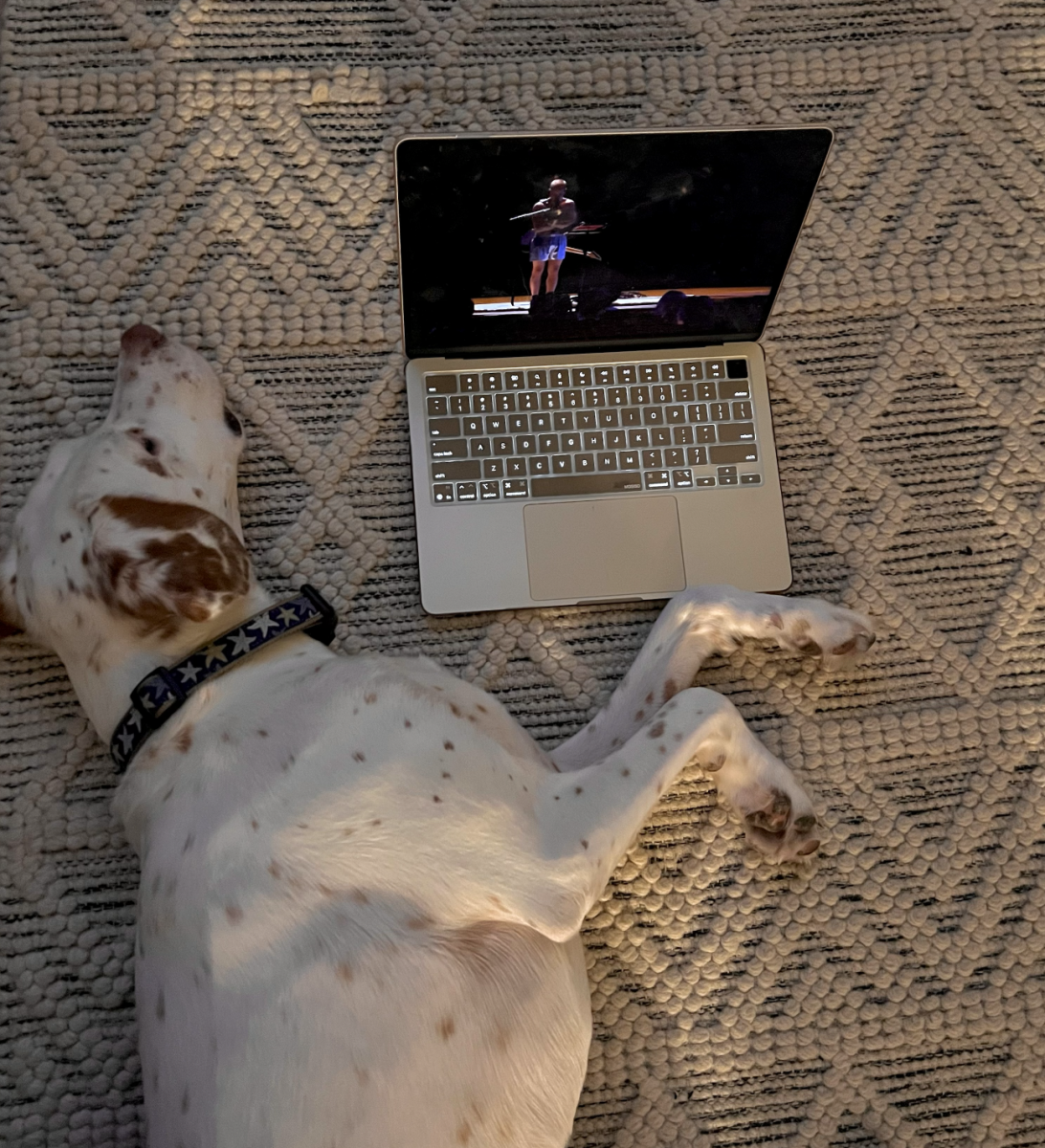 The Grammys were so enticing even the dogs tuned in!