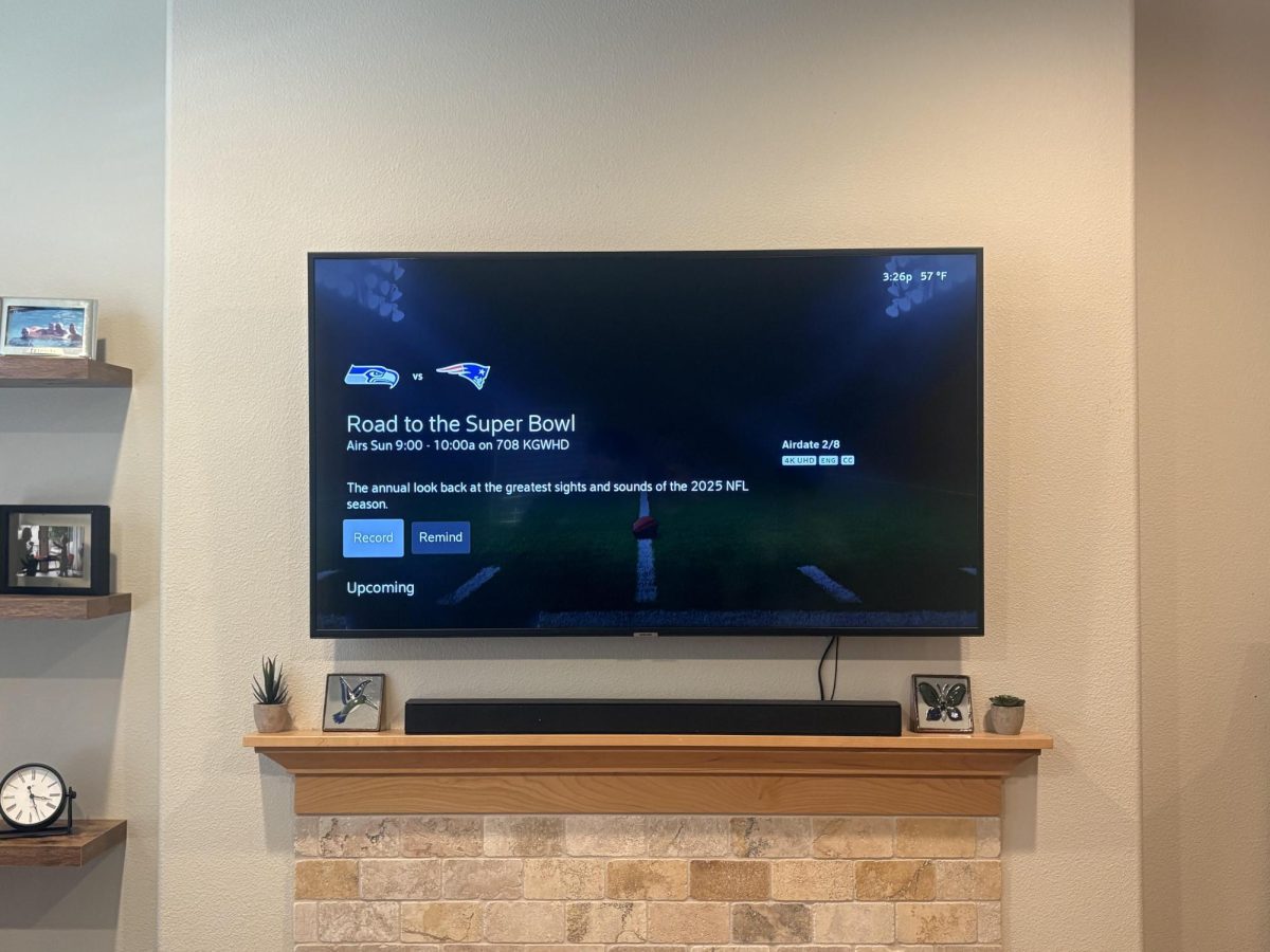 The Superbowl is a global experience featured in many homes. The patriots and the Seahakws will battle in a great Superbowl matchup. The Superbowl is more than just a game it is a yearly tradition.