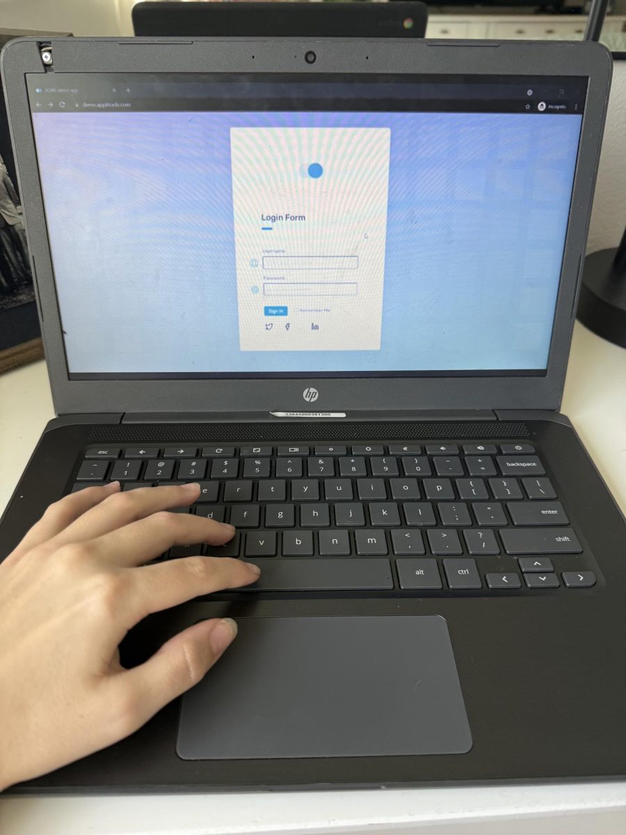 A computer screen shows the login process for state testing. All 11th grade students are required to do state tests.
