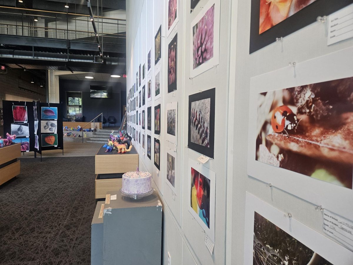 Wilsonville High School's art show puts student photography, paintings, and sculptures on full display for the school community to enjoy. Every piece stands side by side, reflecting the show's belief that all art deserves to be celebrated equally.
