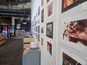 Wilsonville High School's art show puts student photography, paintings, and sculptures on full display for the school community to enjoy. Every piece stands side by side, reflecting the show's belief that all art deserves to be celebrated equally.
